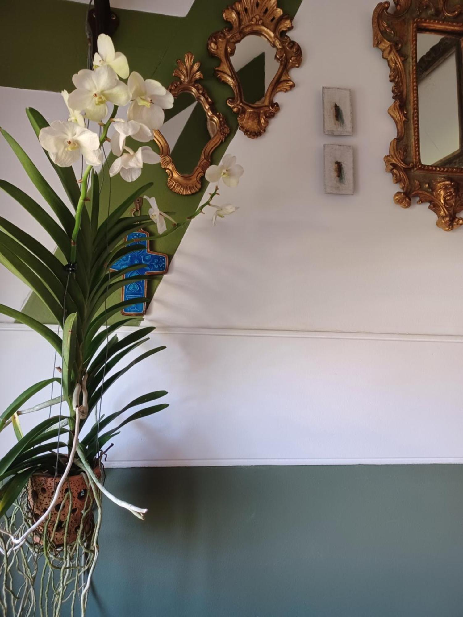 Le Banellou Bed & Breakfast แก็งแปร์ ภายนอก รูปภาพ